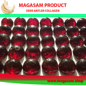 SAMPLE TRẢI NGHIỆM: Gồm có Tổ Yến, Lộc Giác Giao, và Nhân Sâm Hoa Kỳ