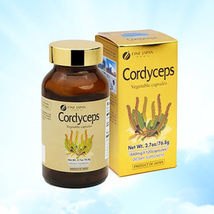 FINE CORDYCEPS