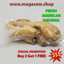 Load image into Gallery viewer, FRESH GINSENG